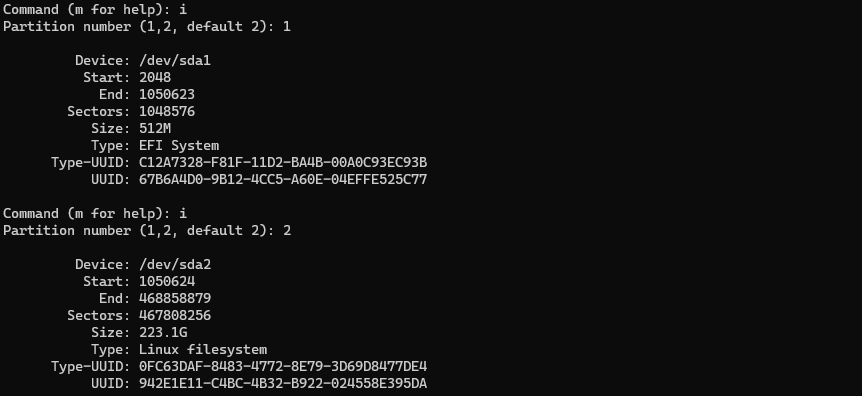 checking info for the disk